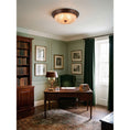 Load image into Gallery viewer, Emily Ceiling Lamp
