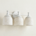 Bild in Galerie-Betrachter laden, Chart Short Arm Sconce
