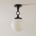 Laad afbeelding in galerij, Wildwood Glas Plafondlamp
