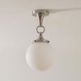 Laad afbeelding in galerij, Wildwood Glas Plafondlamp
